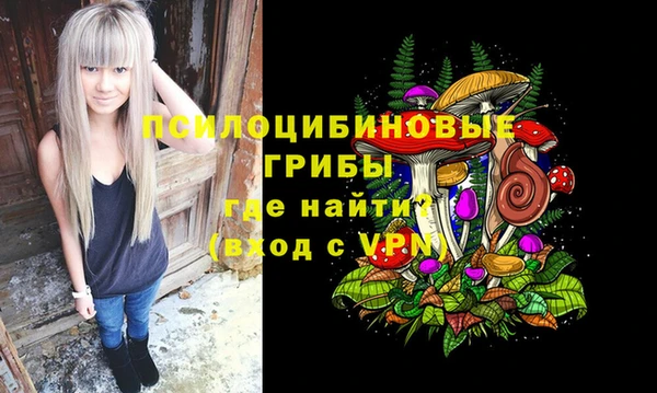 прущий лед Алзамай